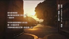 小狗救援行动选关版