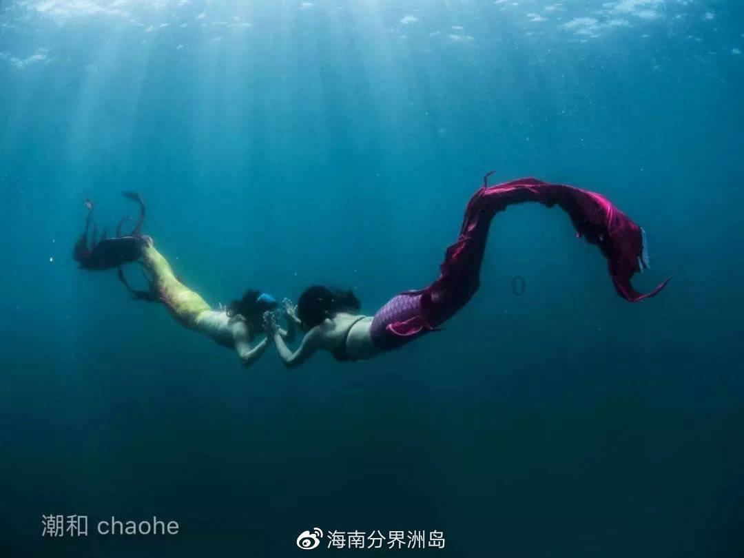 逃离诡异的森林
