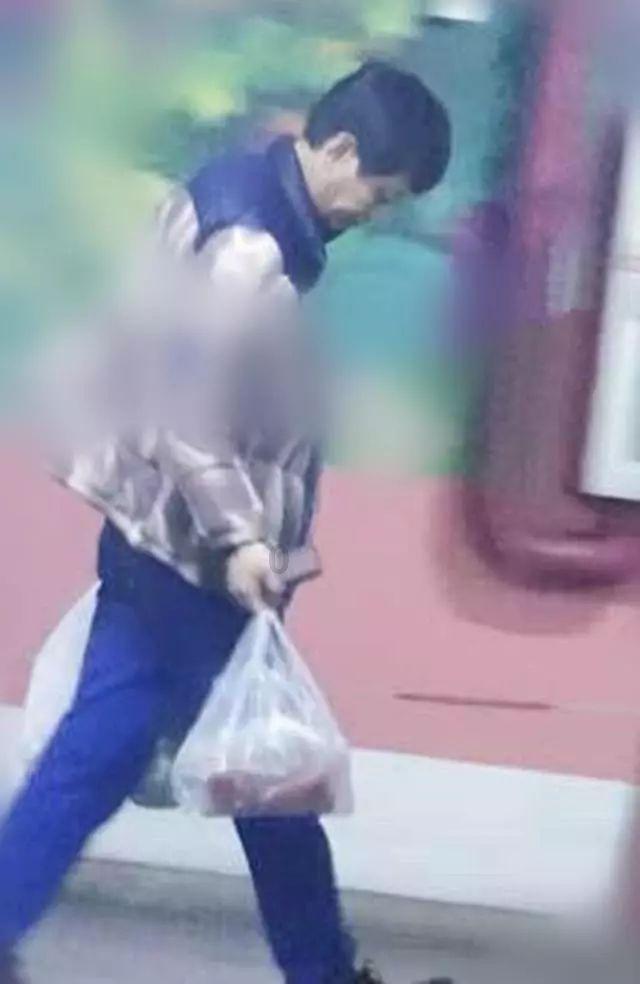 动物帮帮忙保卫家园