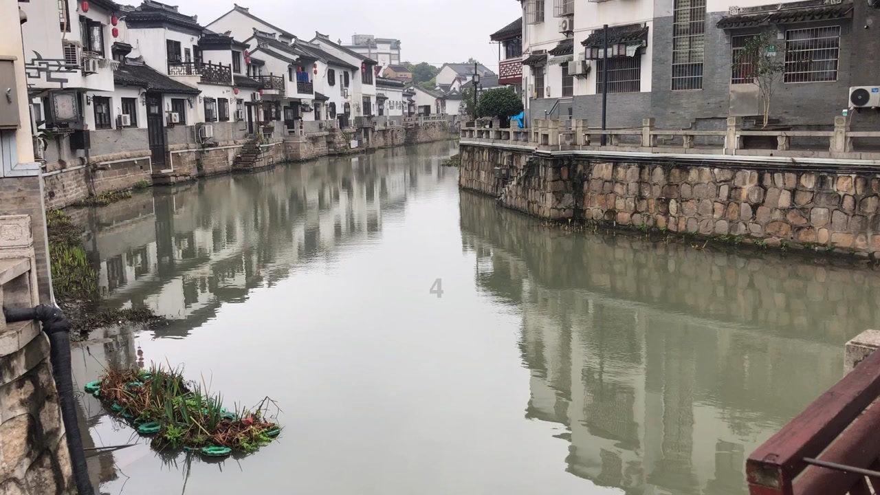 镜之边缘：催化剂